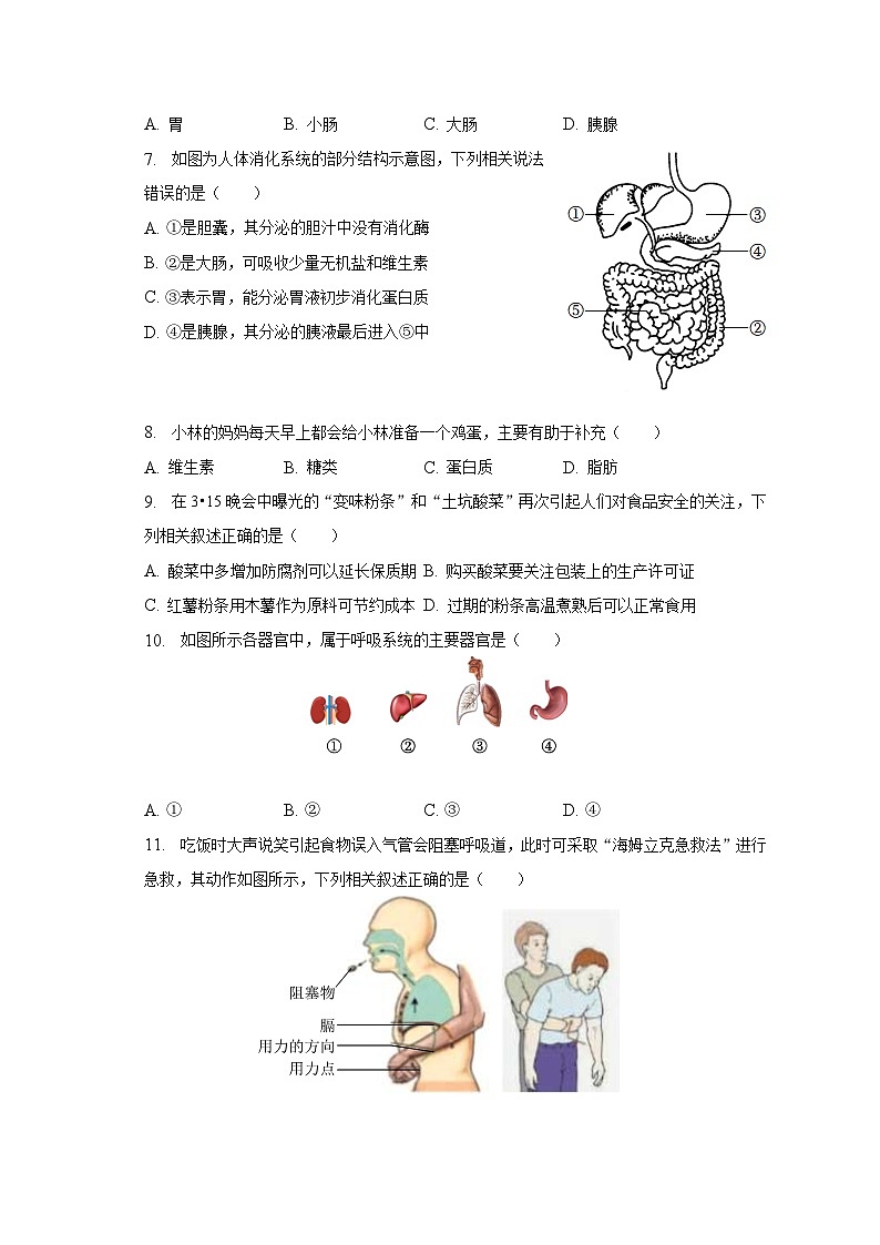 广东省深圳市盐田外国语学校2022-2023学年七年级下学期期末生物试卷（含答案）第2页