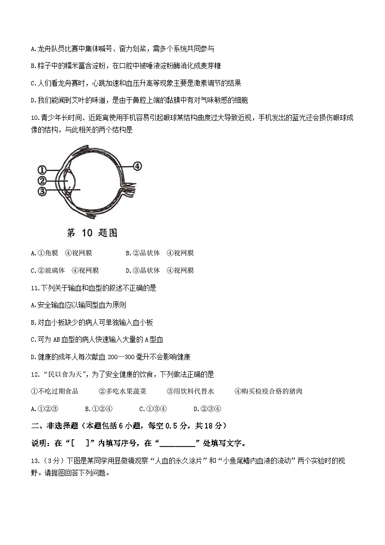 辽宁省大连市高新园区2022-2023学年七年级下学期期末生物试题（含答案）第3页