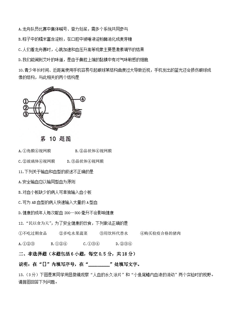 辽宁省大连市高新园区2022-2023学年七年级下学期期末生物试题（含答案）第3页