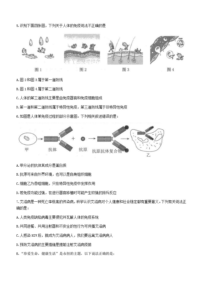 山东省泰安市新泰市2022-2023学年七年级下学期期末生物试题（含答案）02