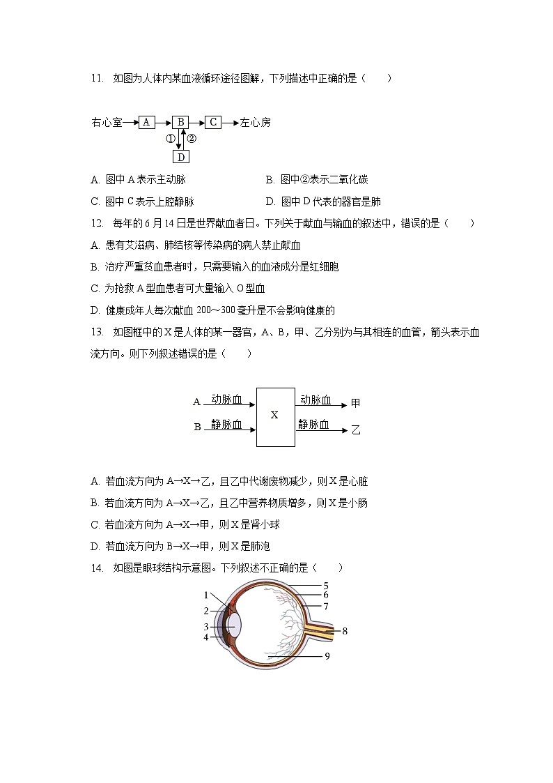 贵州省贵阳市南明区第一实验中学2022-2023学年七年级下学期期末生物试卷（含答案）第3页