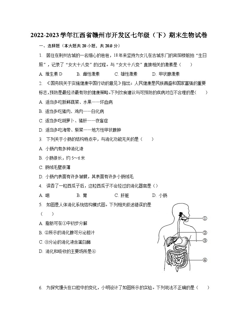 2022-2023学年江西省赣州市开发区七年级（下）期末生物试卷（含解析）01