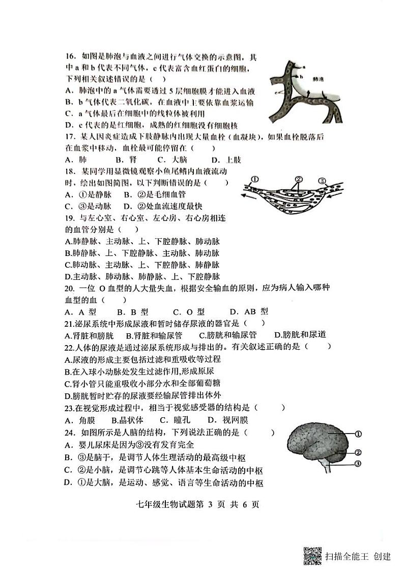 山东省日照市岚山区2022-2023学年七年级下学期期末考试生物试题第3页