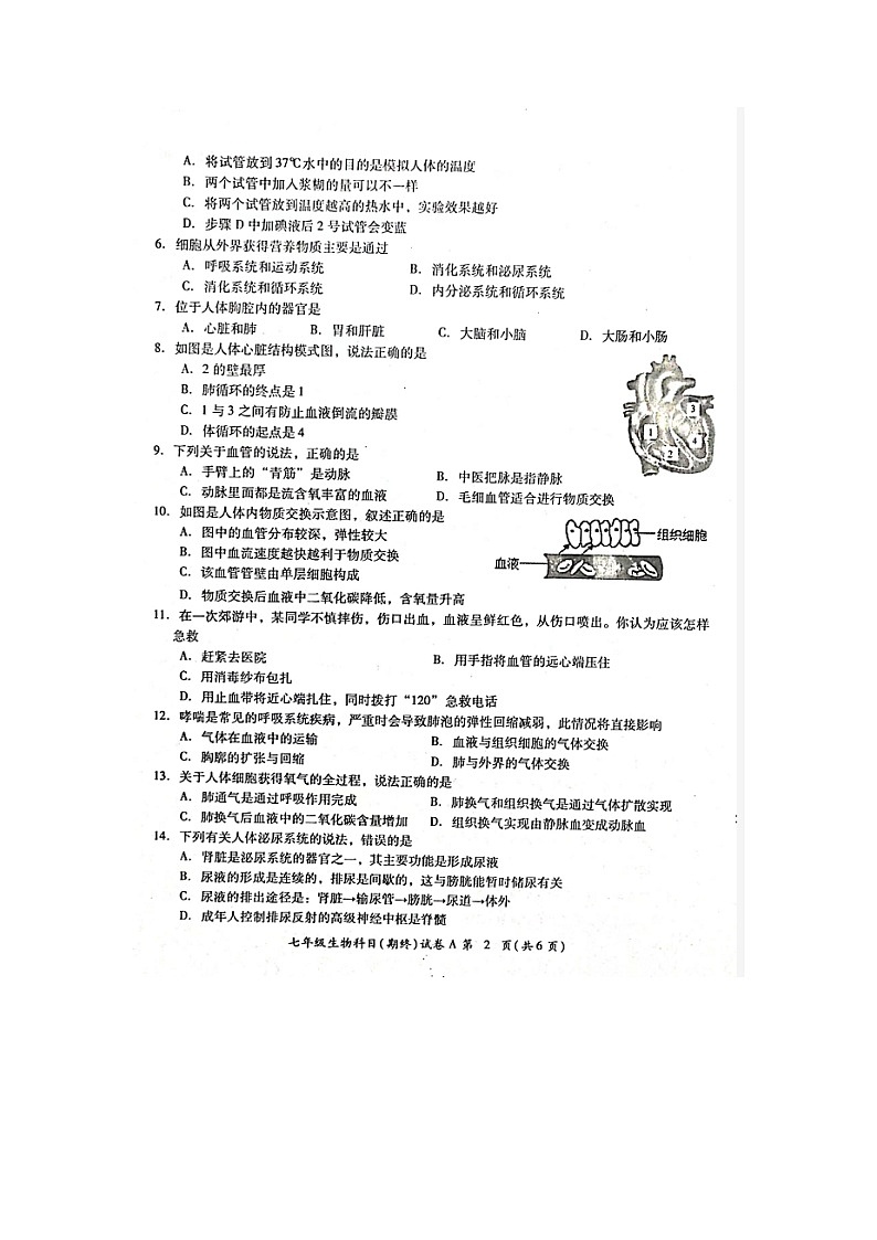 广东省揭阳市榕城区2022-2023学年七年级下学期期末考试生物试题（图片版含答案）第2页
