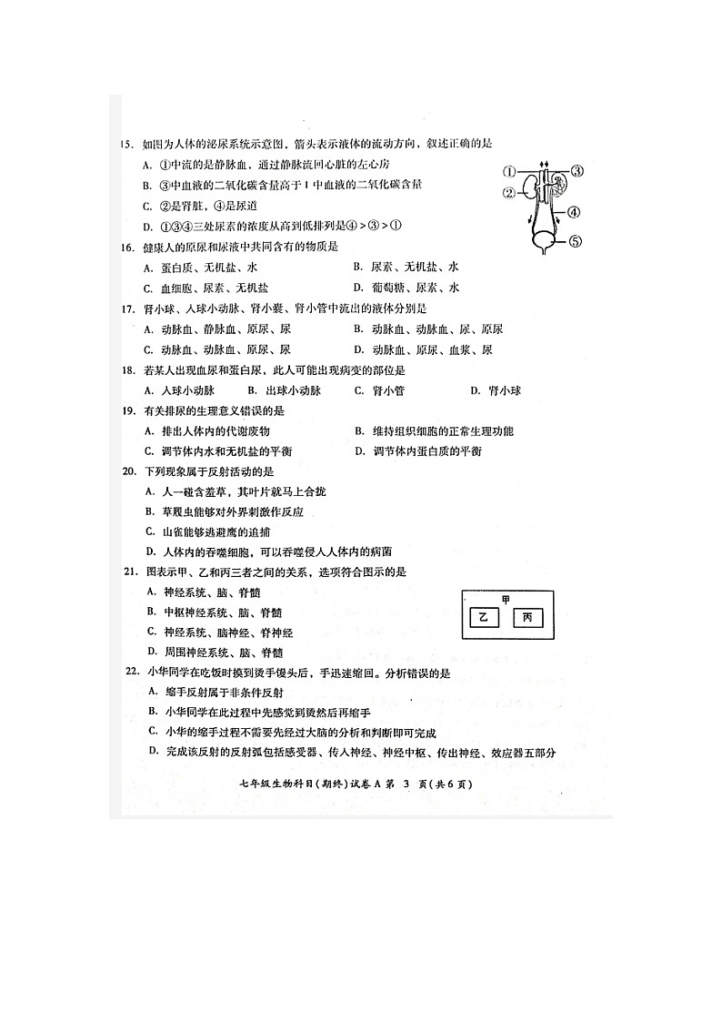 广东省揭阳市榕城区2022-2023学年七年级下学期期末考试生物试题（图片版含答案）第3页