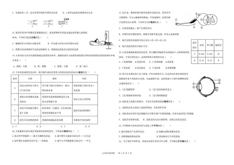 山东省德州市夏津县2022-2023学年七年级下学期期末考试生物试题（pdf含答案）02