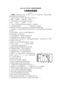 山东省日照市岚山区2022-2023学年七年级下学期期末考试生物试题（pdf含答案）