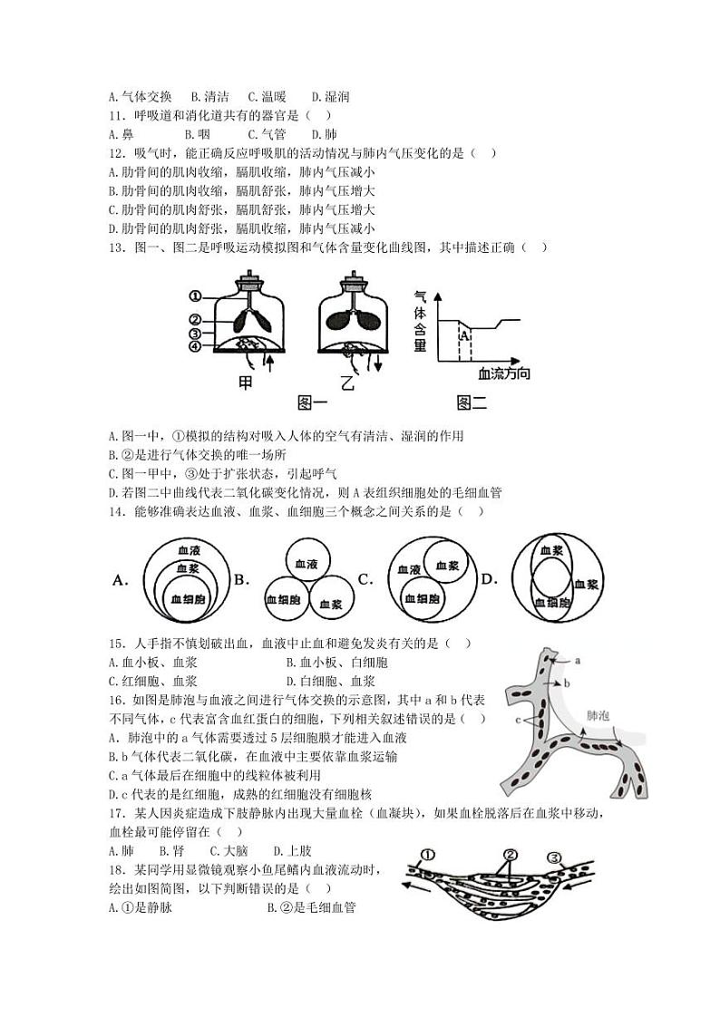 山东省日照市岚山区2022-2023学年七年级下学期期末考试生物试题（pdf含答案）02
