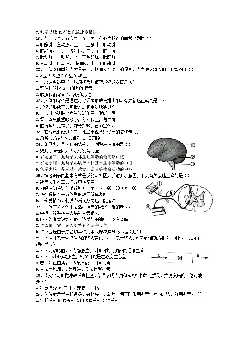 山东省日照市岚山区2022-2023学年七年级下学期期末考试生物试题（含解析）第3页