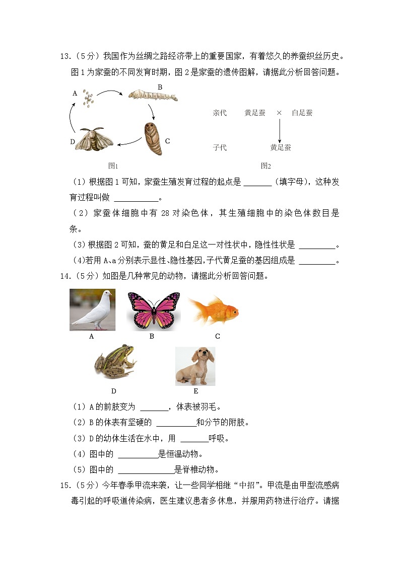 2023年甘肃省天水市中考生物试卷【附答案】03