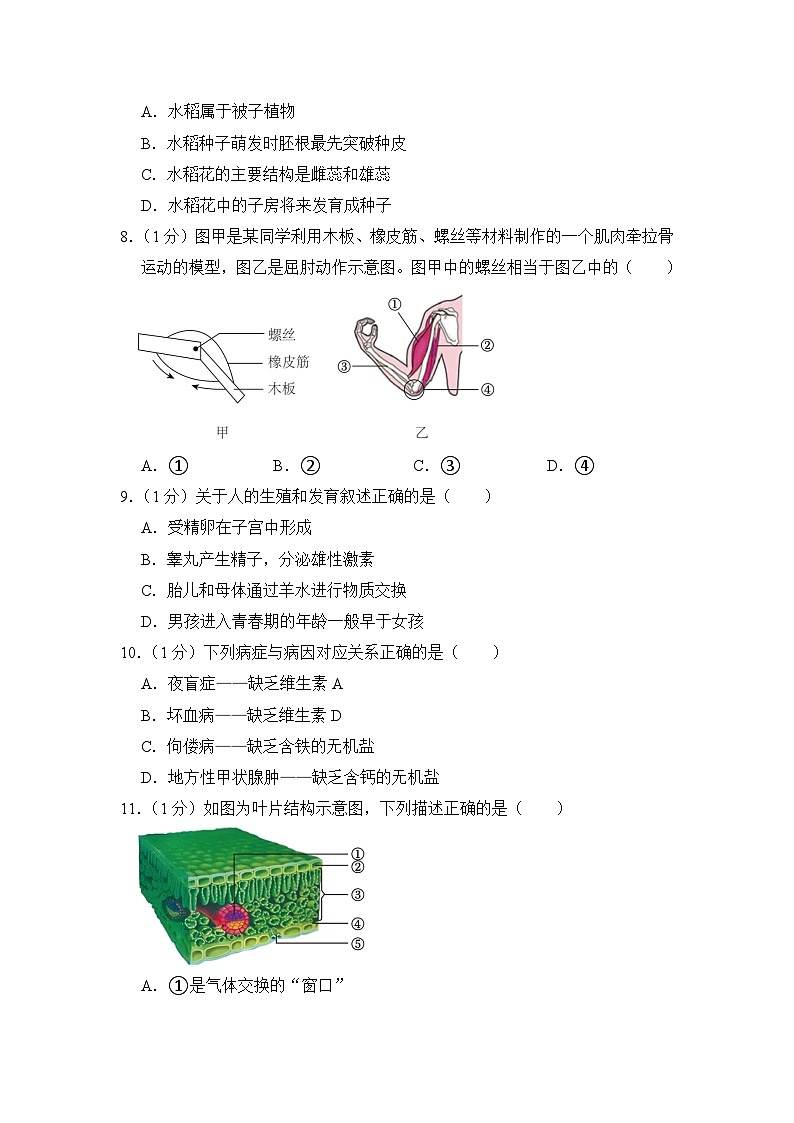 2023年吉林省中考生物试卷【附答案】第2页