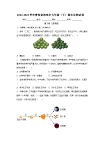 青海省海东市2022-2023学年七年级下学期期末生物试卷（含答案）