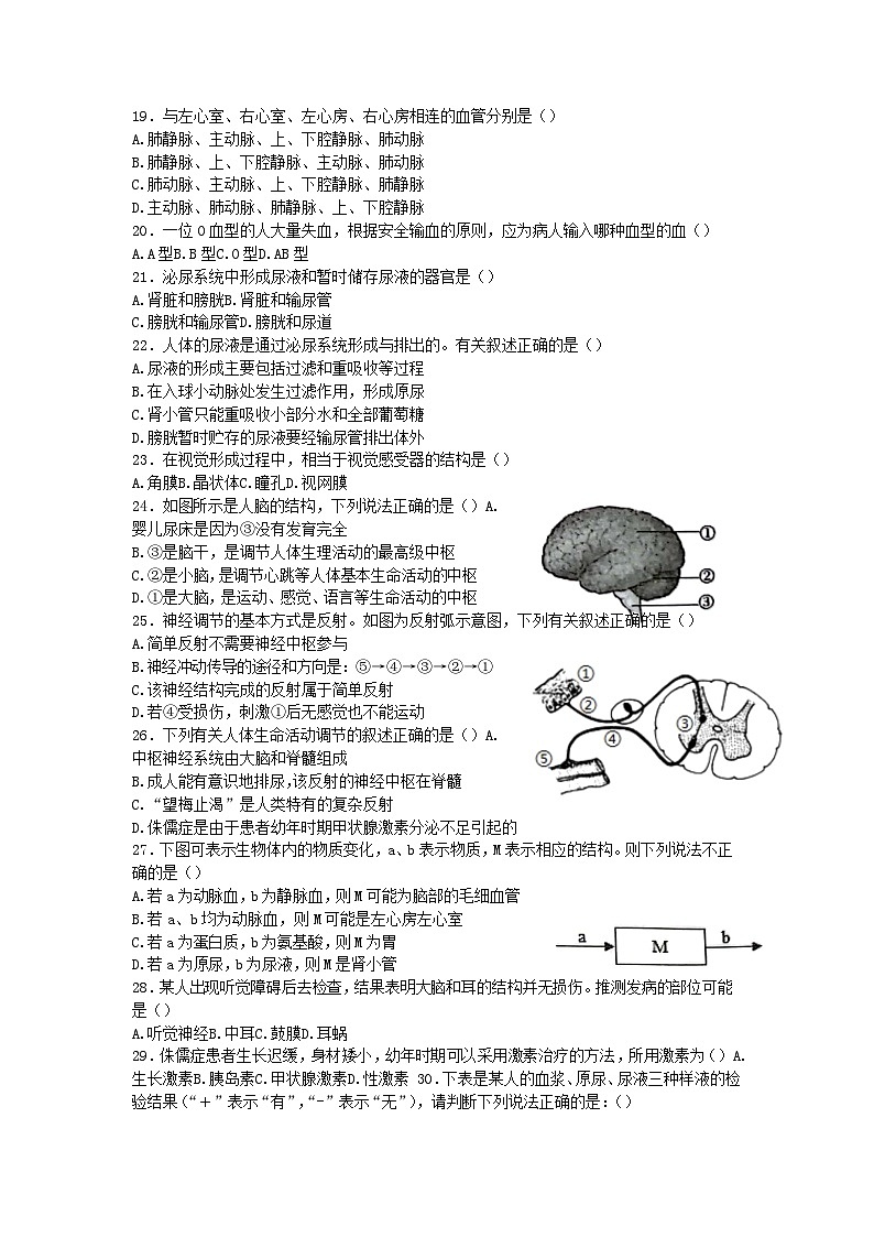 山东省日照市岚山区2022-2023学年七年级下学期期末考试生物试题（含答案）03