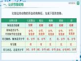 人教版八上生物  5.1.3 软体动物和节肢动物（第2课时）课件+教案+分层练习+学案