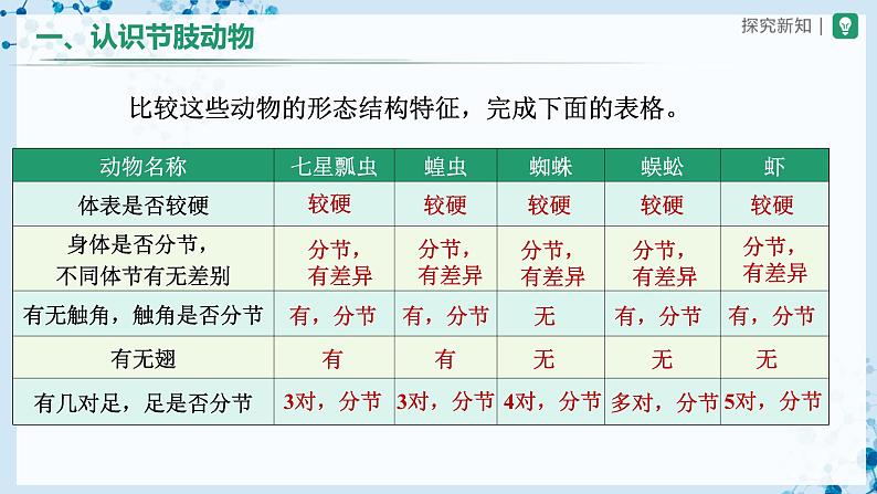 人教版八上生物  5.1.3 软体动物和节肢动物（第2课时）课件+教案+分层练习+学案05