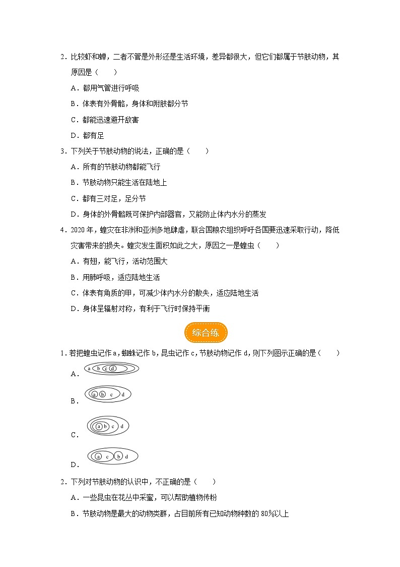 人教版八上生物  5.1.3 软体动物和节肢动物（第2课时）课件+教案+分层练习+学案02