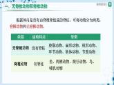 人教版八上生物  5.1.4 鱼（第1课时）课件+教案+分层练习+学案
