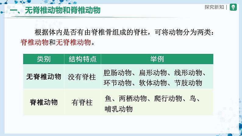 人教版八上生物  5.1.4 鱼（第1课时）课件+教案+分层练习+学案04