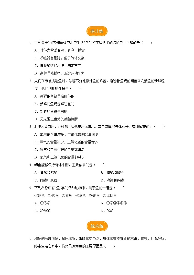 人教版八上生物  5.1.4 鱼（第2课时）课件+教案+分层练习+学案02