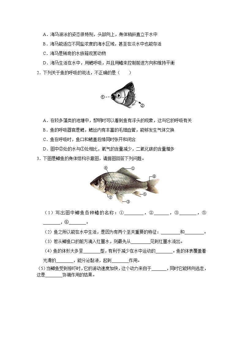 人教版八上生物  5.1.4 鱼（第2课时）课件+教案+分层练习+学案03