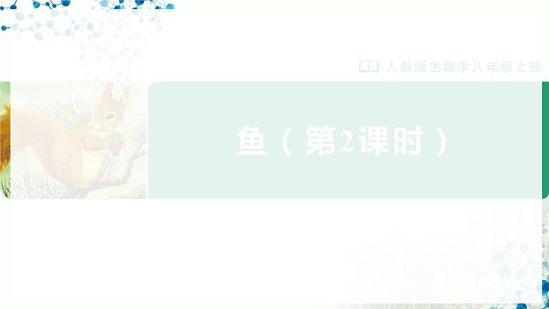 人教版八上生物  5.1.4 鱼（第2课时）课件+教案+分层练习+学案01