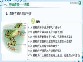 人教版八上生物  5.1.5 两栖动物和爬行动物（第1课时）课件+教案+分层练习+学案