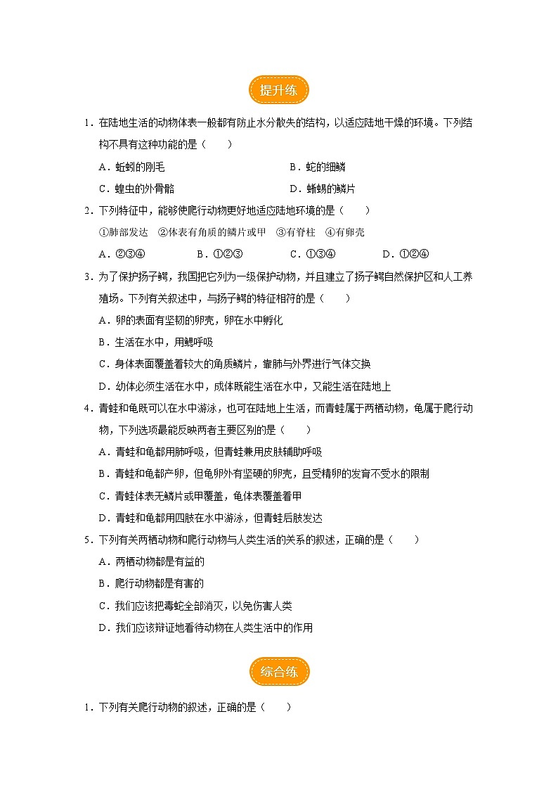 人教版八上生物  5.1.5 两栖动物和爬行动物（第2课时）课件+教案+分层练习+学案02