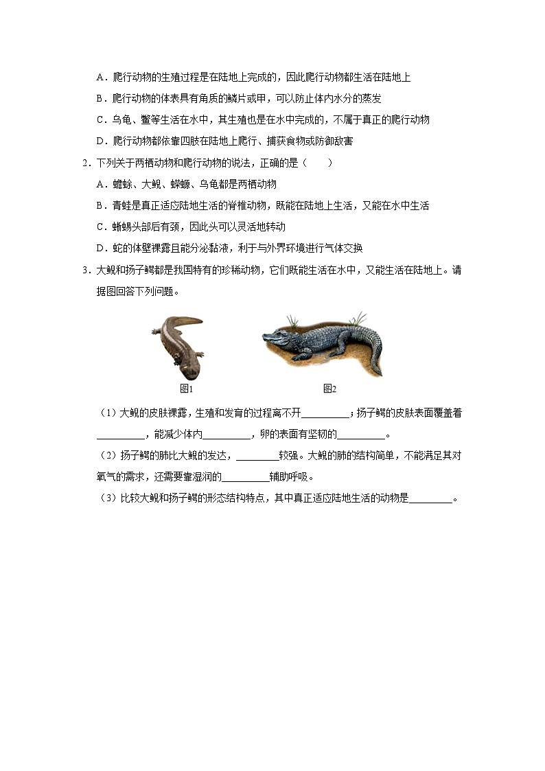 人教版八上生物  5.1.5 两栖动物和爬行动物（第2课时）课件+教案+分层练习+学案03