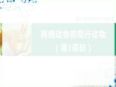 人教版八上生物  5.1.5 两栖动物和爬行动物（第2课时）课件+教案+分层练习+学案