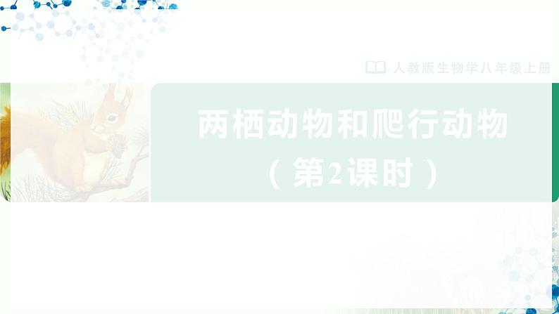 人教版八上生物  5.1.5 两栖动物和爬行动物（第2课时）课件+教案+分层练习+学案01