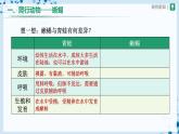 人教版八上生物  5.1.5 两栖动物和爬行动物（第2课时）课件+教案+分层练习+学案