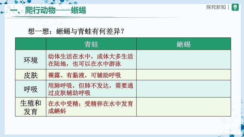 人教版八上生物  5.1.5 两栖动物和爬行动物（第2课时）课件+教案+分层练习+学案05