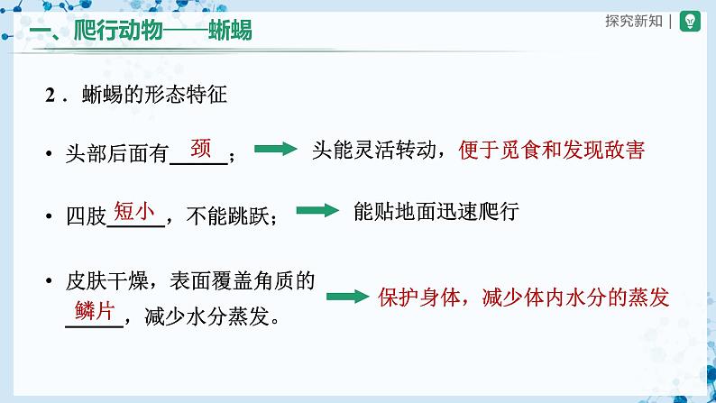 人教版八上生物  5.1.5 两栖动物和爬行动物（第2课时）课件+教案+分层练习+学案07