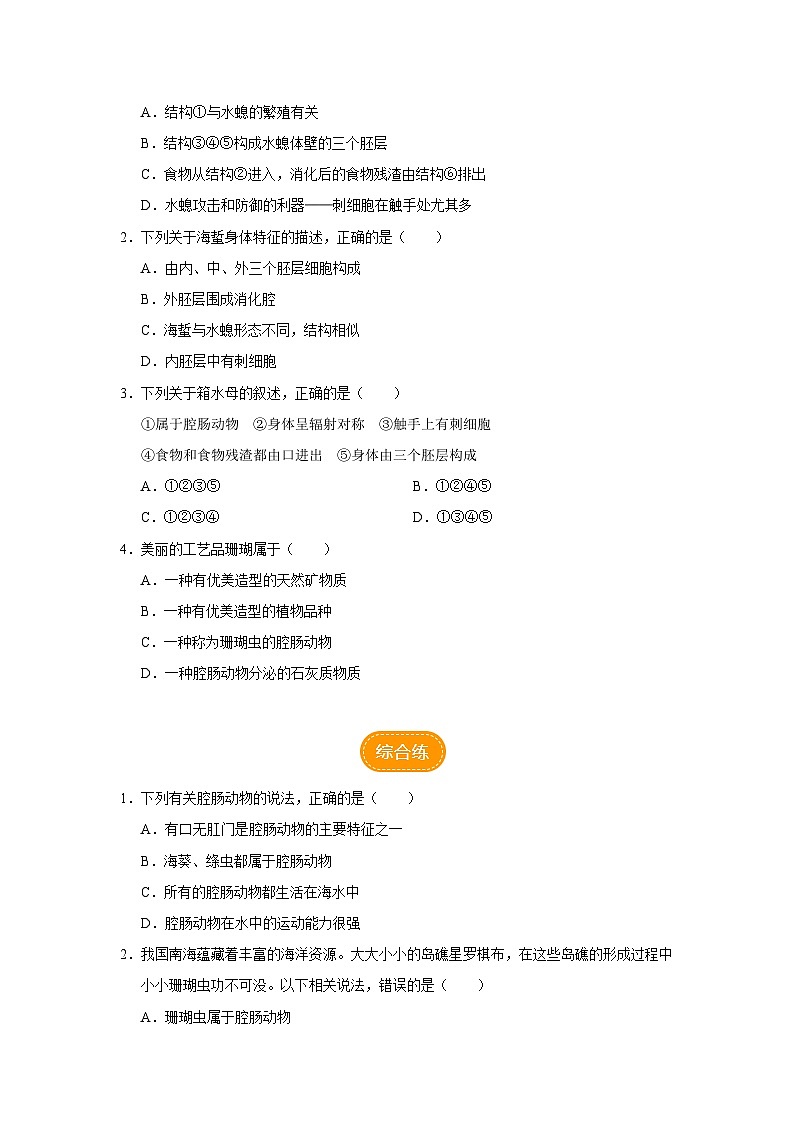 人教版八上生物  5.1.1 腔肠动物和扁形动物（第1课时）课件+教案+分层练习+学案02