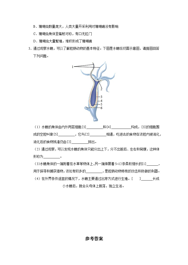 人教版八上生物  5.1.1 腔肠动物和扁形动物（第1课时）课件+教案+分层练习+学案03