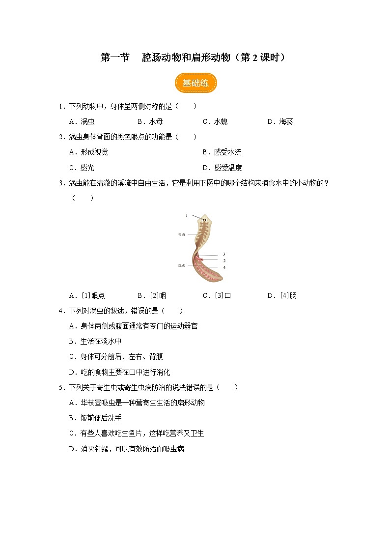 人教版八上生物  5.1.1 腔肠动物和扁形动物（第2课时）课件+教案+分层练习+学案01