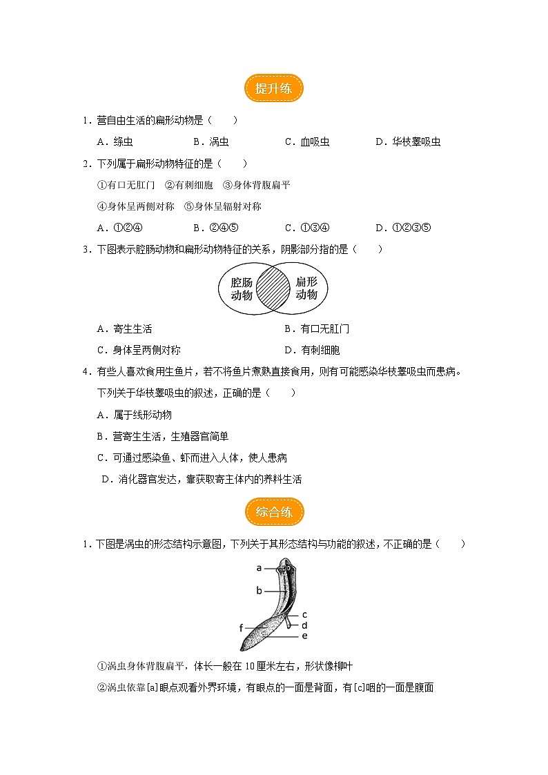 人教版八上生物  5.1.1 腔肠动物和扁形动物（第2课时）课件+教案+分层练习+学案02