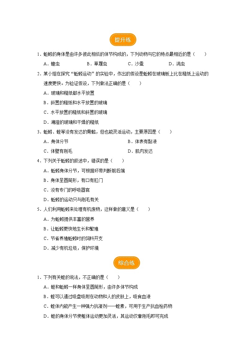 人教版八上生物  5.1.2 线形动物和环节动物（第2课时）课件+教案+分层练习+学案02