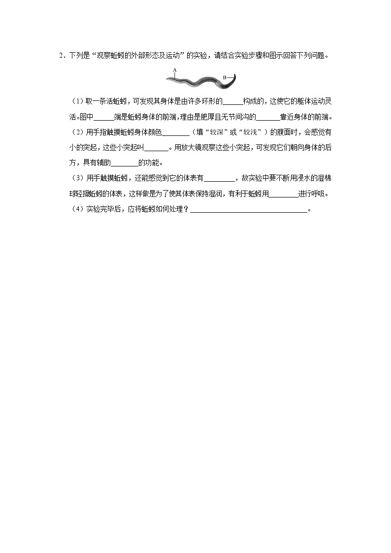 人教版八上生物  5.1.2 线形动物和环节动物（第2课时）课件+教案+分层练习+学案03