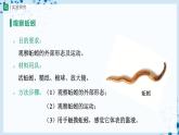 人教版八上生物  5.1.2 線形動(dòng)物和環(huán)節(jié)動(dòng)物（第2課時(shí)）課件+教案+分層練習(xí)+學(xué)案