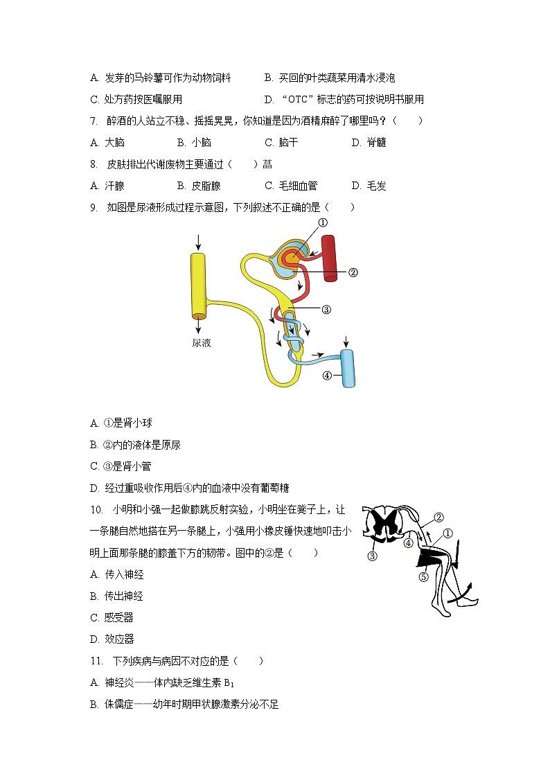 2022-2023学年辽宁省本溪市七年级（下）期末生物试卷（含解析）第2页
