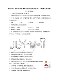 2022-2023学年山东省德州市庆云县七年级（下）期末生物试卷（含解析）