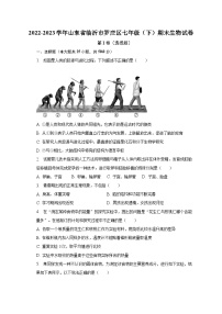 2022-2023学年山东省临沂市罗庄区七年级（下）期末生物试卷（含解析）