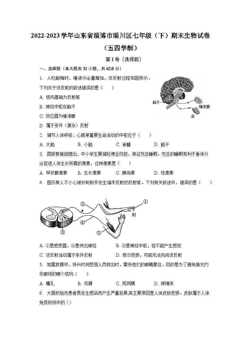 2022-2023学年山东省淄博市淄川区七年级（下）期末生物试卷（五四学制）（含解析）第1页