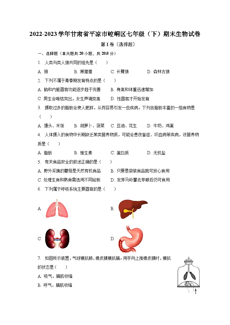 2022-2023学年甘肃省平凉市崆峒区七年级（下）期末生物试卷（含解析）第1页