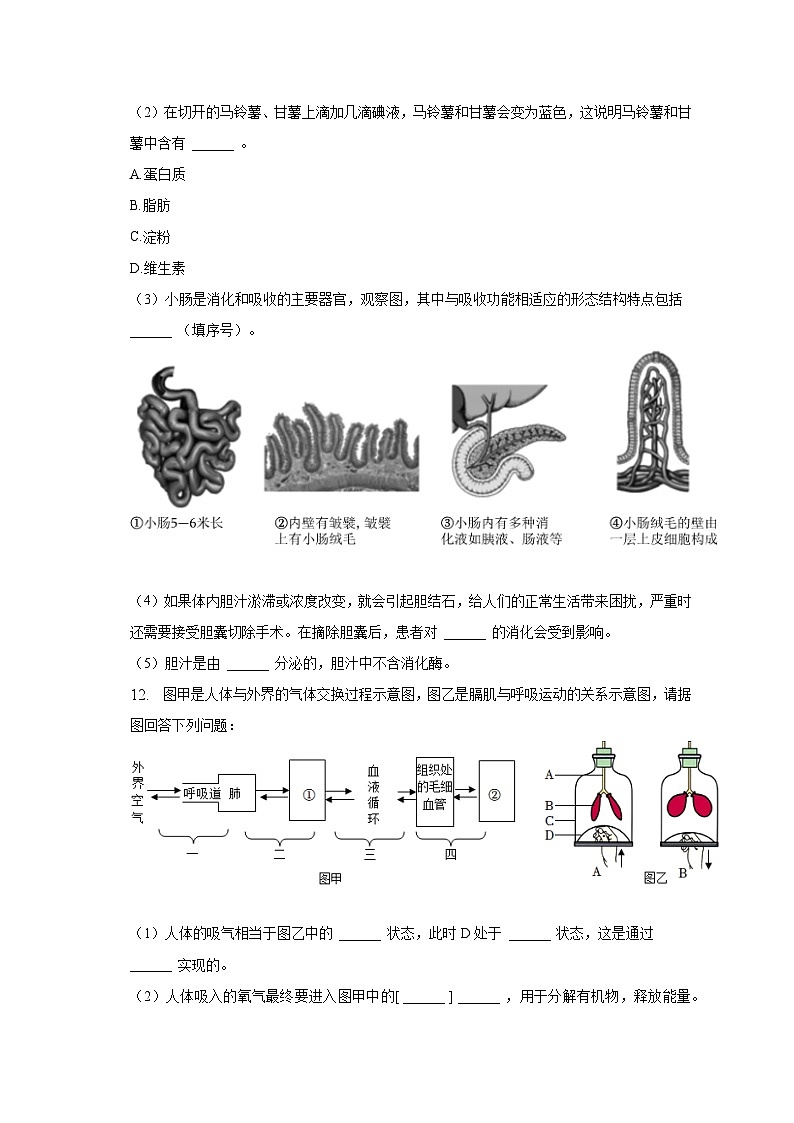2022-2023学年甘肃省庆阳市七年级（下）期末生物试卷（含解析）第3页