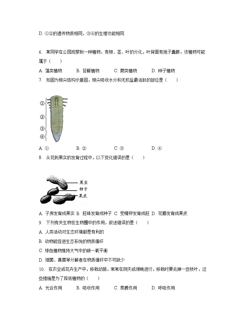 2023年云南省玉溪市红塔区中考生物模拟试卷（含解析）第2页