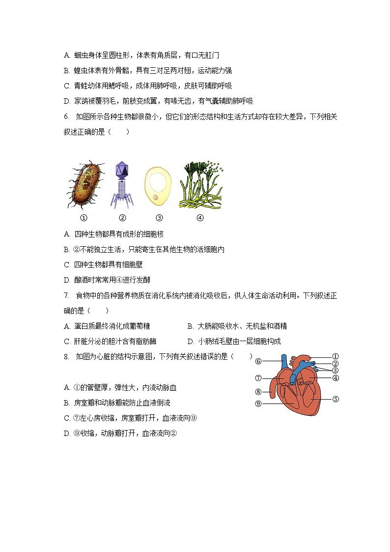 2023年山东省枣庄市峄城区中考生物一模试卷（含解析）02