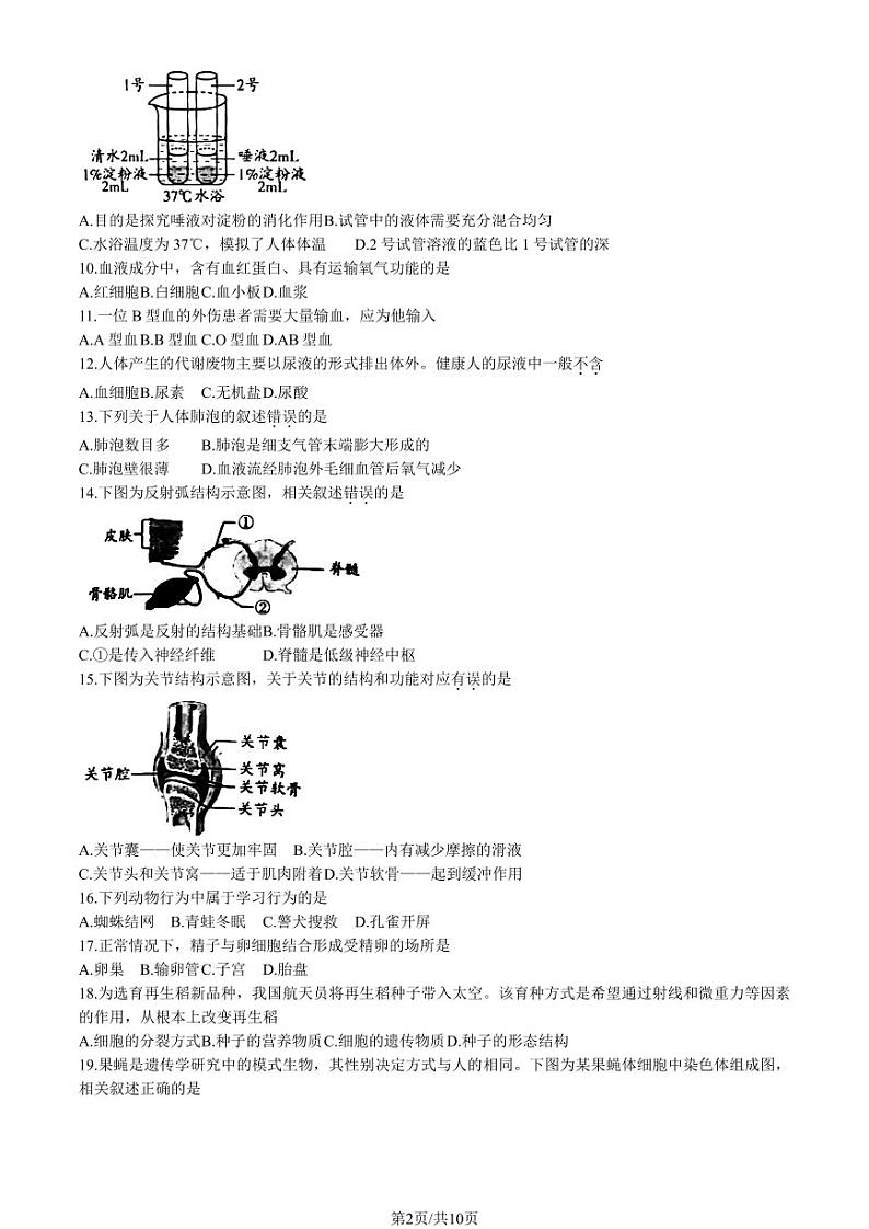 2023年北京中考真题生物试卷含答案解析02
