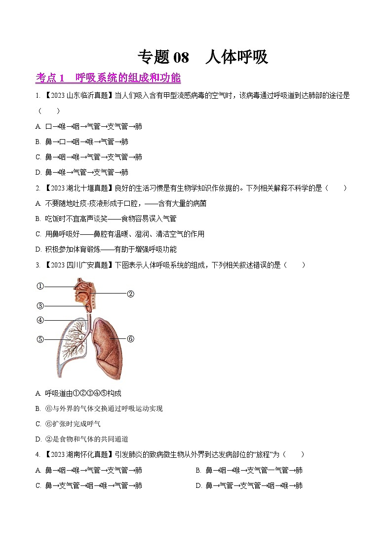 专题08  人体呼吸（全国通用） （原卷版）第1页